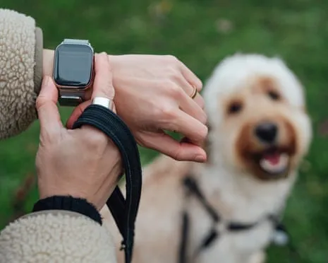 The Honest Scoop Concerning Wearable Tech? Daily Existence Improves Lacking a Bossy Gadget on Your Wrist